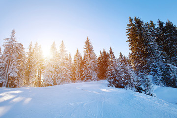 beautiful winter landscape, ski slope in sunny day