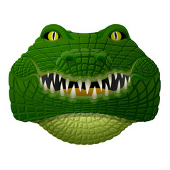 Crocodile face looks ahead. Front view of alligator head