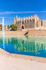 Majorca Palma Cathedral Seu Seo of Mallorca © lunamarina