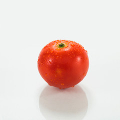 tomato on white