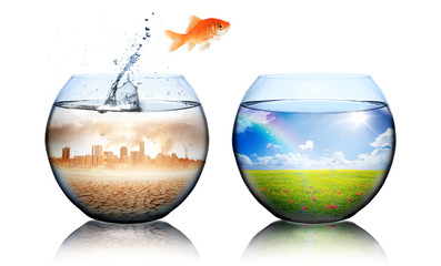 Global Warming Concept - goldfish jump from pollution to green - obrazy, fototapety, plakaty