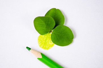 a four-leaf clover with drawn leaf - 82064195
