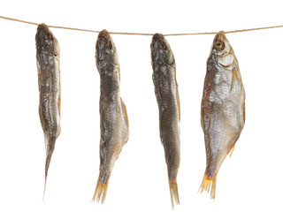 salted fish on a rope