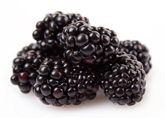 Fresh blackberry