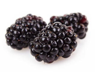 Fresh blackberry