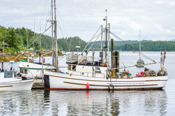 Fototapeta premium Fishing Boat in Harbour