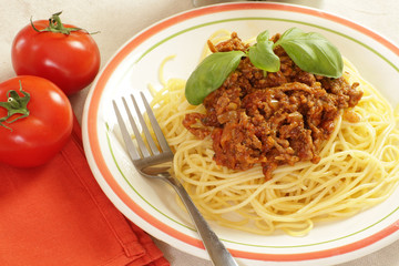 spaghetti bolognaise 23042015