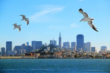 Foto op Plexiglas San Francisco © Tatiana Morozova