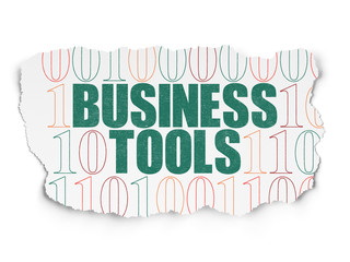 Business concept: Business Tools on Torn Paper background