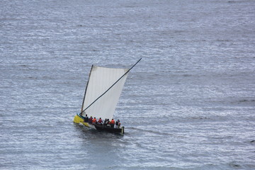 Obraz premium Course de yole