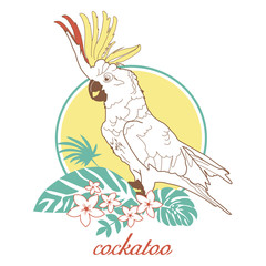 cockatoo © tami88887