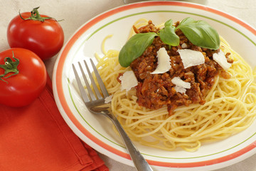 spaghetti bolognaise 23042015