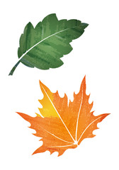 Pair of leaves abstract vector illustration in watercolor style.
