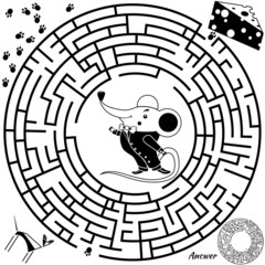 Funny labyrinth