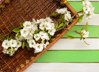 pear flowers and colorful wooden strips, top view