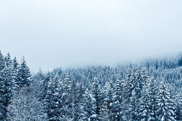 beautiful winter landscape