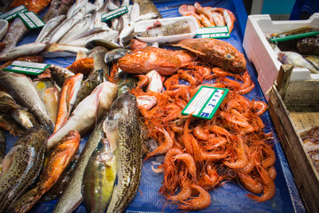 A typical fish market in sicily
