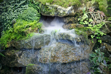 Falls with  steam, tropical  plants, water streams