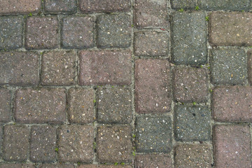 Pflastersteine