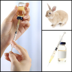 Vaccination and treatment of animals, collage