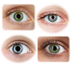 Collage of beautiful female eyes, isolated on white