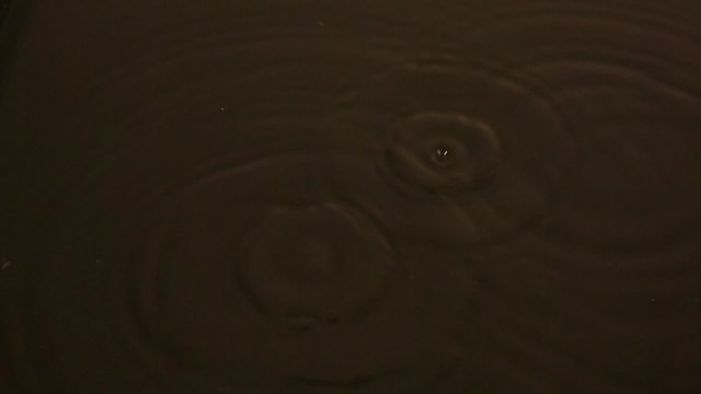 Water drops on a black background