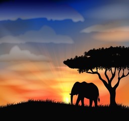 Fototapeta na wymiar sunrise at africa