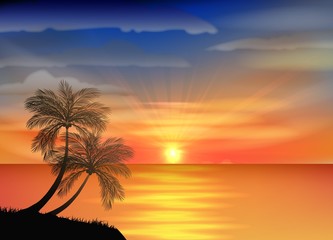 Obraz na płótnie Canvas Nice sunset .vector