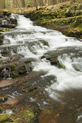 Obraz na płótnie Canvas Misty Woodland Waterfall