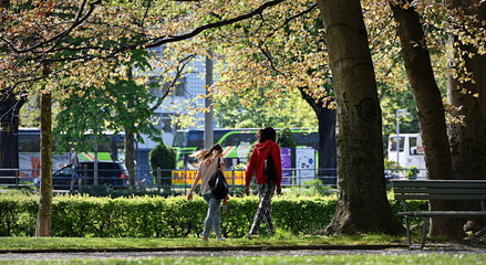 Fototapeta premium jardin public