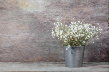 white flower plant on wooden table with wood background,yipso