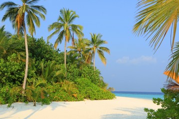 Obraz premium The Maldives Beach Landscape view on Vacation trip