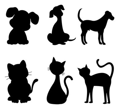 Cat and dog silhouette