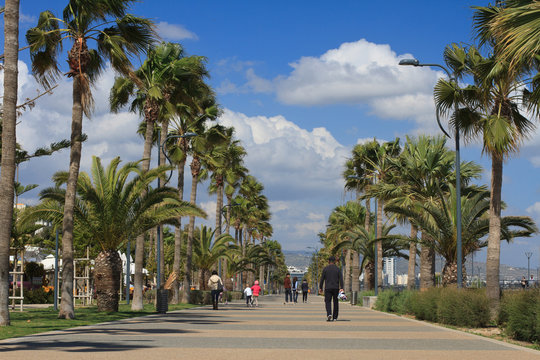 promenade Limassol, Cyprus in the spring
