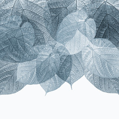 Leaves texture background