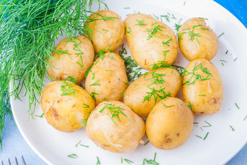Young potatoes cooked in jacket with dill