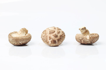 mushroom champignon isolated on white background