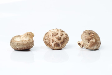 mushroom champignon isolated on white background