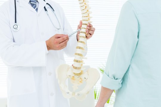 Doctor pointing anatomical spine - Powered by Adobe