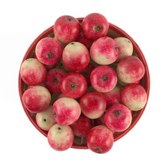 Wooden barrel with apples top