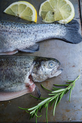Ttrout on metal table