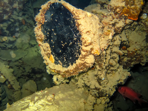 SS Thistlegorm,detail