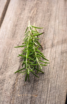 sprigs of fresh rosemary on the table