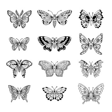 Set of Butterflies Decorative Isolated Silhouettes in Vector