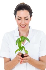 Scientist holding basil plant