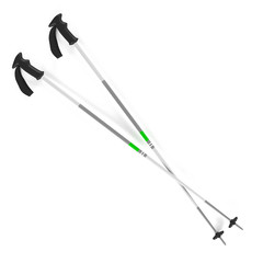 Ski sticks isolated