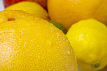 Citrus fruit close up