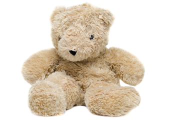 brown bear doll on white background