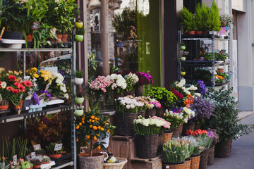 beautiful flower shop in Paris, France