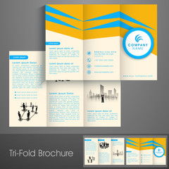 Professional tri fold brochure, flyer or template for business.
